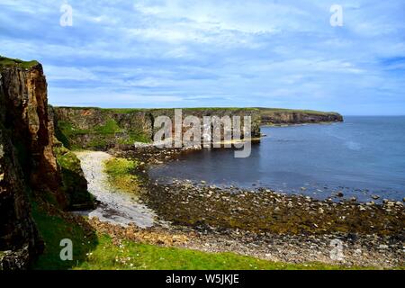 Grand Geo à Deerness Burra. Banque D'Images