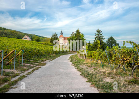 Chapelle dans le vignoble du village de Dambach-la-Ville, Alsace, France, région de viticulture de l'Alsace Banque D'Images