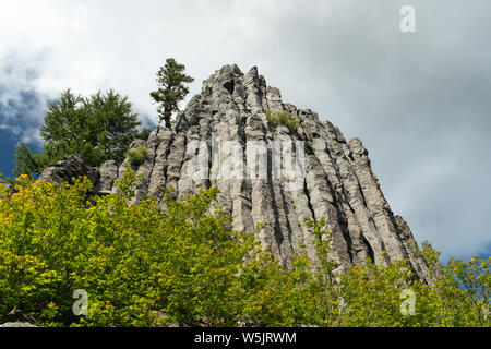 Jointoyer en colonnes de lave andésitique, débit western Cascades, Oregon, USA Banque D'Images