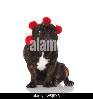 Beau Bouledogue français Porter du rouge et blanc duveteux couronne tout en restant assis sur fond blanc Banque D'Images