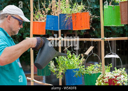 Eaux jardinier les herbes aromatiques dans des seaux recyclés, suspendu à un treillis de bambou. Banque D'Images