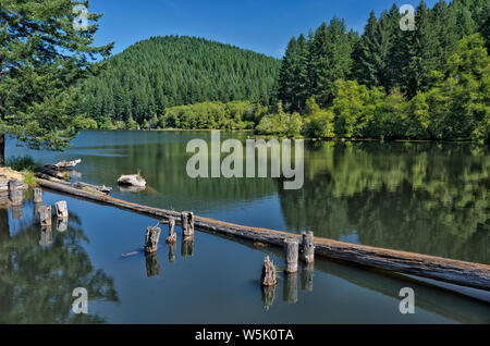 <OU : Lane Comté, Coast Range, Hult réservoir, entouré par les montagnes de l'Oregon Coast Range Banque D'Images