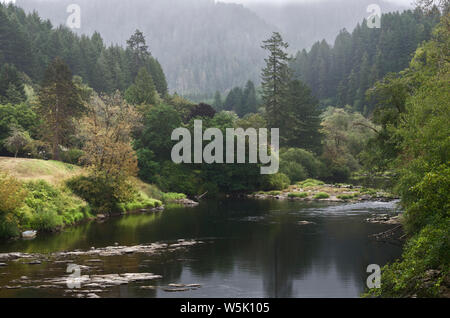 Ou : Lincoln County, Coast Range, rivière l'Alsea. Brouillard sur l'Alsea River avec la lumière du soleil traversant les nuages lourds Banque D'Images