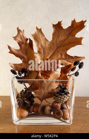 Décoration d'automne de golden brown et les feuilles sèches, les cônes et les glands en vase en verre moderne sur fond de mur Banque D'Images