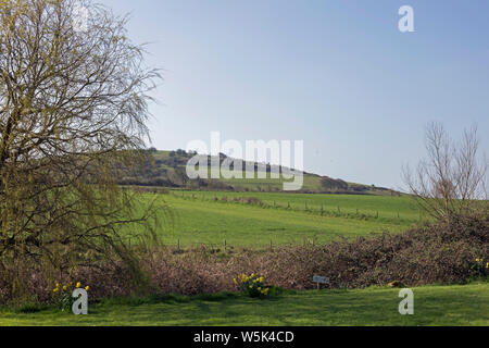 Très beau paysage rural à Dorset, Angleterre Banque D'Images