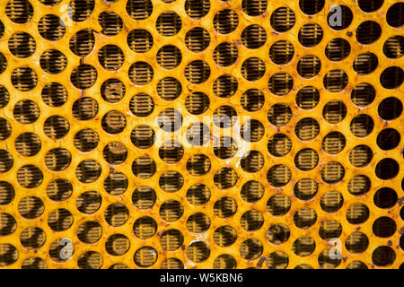 Close up sur un métal jaune calandre pour utiliser comme arrière-plan Banque D'Images