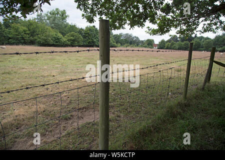 Un brabed grillage sépare un chemin à partir d'un champ agricole dans l'Essex en Angleterre. Banque D'Images