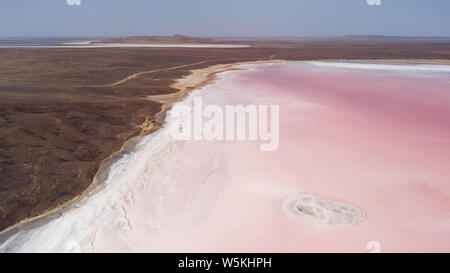 Koyashskoye rose salt lake dans la région de Krym et sec désert paysage autour. Vue aérienne. Couleur corail très tendance Banque D'Images