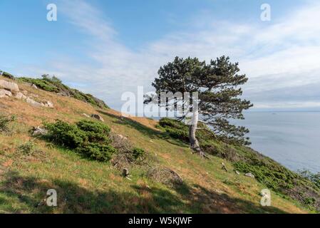 Réserve naturelle à Kullaberg en Suède Banque D'Images