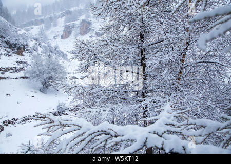 Paysage du village, un Wanghuagou cliff village couvert de neige, au printemps à la zone panoramique de la montagne de Luya, Ningwu comté, Xinzhou city, north Banque D'Images