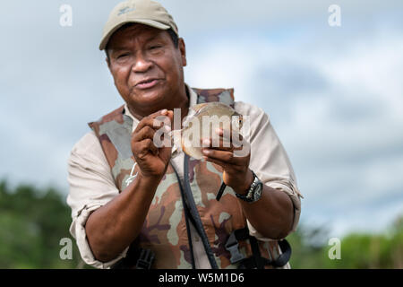 Naturalist parle de Silver Dollar (poissons Metynnis) de l'Amazonie péruvienne Banque D'Images