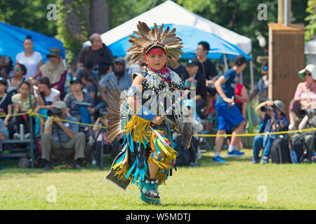 Garçon natif en danseur Pow Wow Regalia traditionnels, les Six Nations de la rivière Grand champion des champions Powwow, Quebec Canada Banque D'Images