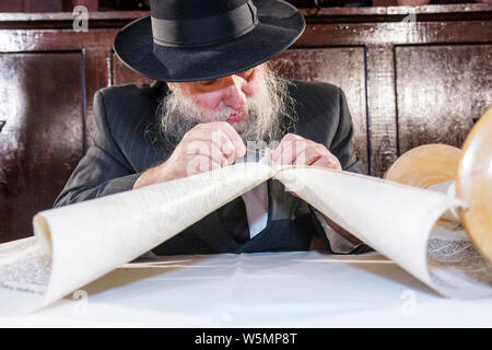 Miami Beach Florida, achèvement du Musée juif de Floride, nouveau Sefer Torah, rabbi, rebbe, juif orthodoxe, Chabad Lubavitch, hassidique, religion, tradition, judaïsme, m Banque D'Images