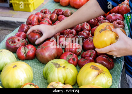 West Palm Beach Florida,Greenmarket,Green Farmers Market,vendeurs,stall stalles stand marché shopping shoppers magasins marchés Banque D'Images