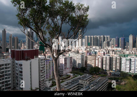 Toits de gratte-ciel du quartier Sham Shui Po, Kowloon, Hong Kong, Chine Banque D'Images