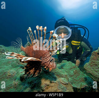 Poisson-papillon (Pterois volitans commun), et de scuba diver, Dumaguete, Negros, Philippines Banque D'Images