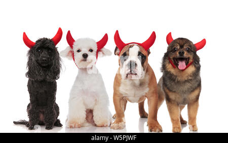 Joli groupe de quatre chiens mignons habillés en démons debout et assis sur fond blanc, portant des cornes rouges Banque D'Images