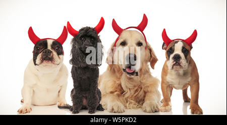 Quatre drôles de petits chiens diable célébrer Halloween, collage de droit Banque D'Images