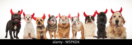 Groupe de chiens heureux célébrer Halloween, collage de droit Banque D'Images