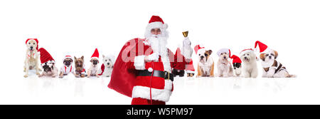 Portrait d'ancien santa claus sa sonnerie bell devant team de nombreux chiens de Noël sur fond blanc Banque D'Images