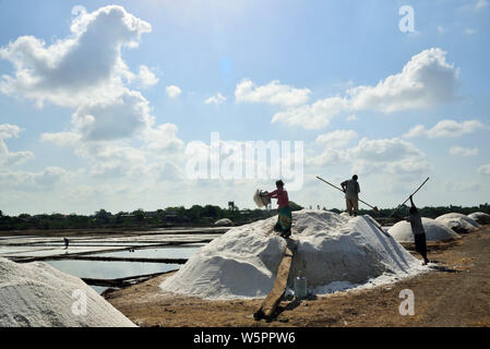 Les personnes travaillant à salines Chharwada Abu Dhabi Gujarat Inde Asie Banque D'Images
