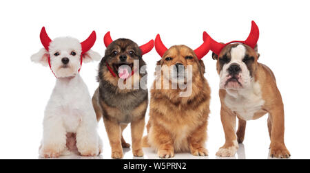 Adorable groupe de chiens portant des costumes du diable pour l'halloween en se tenant debout et assis sur fond blanc, haletant Banque D'Images