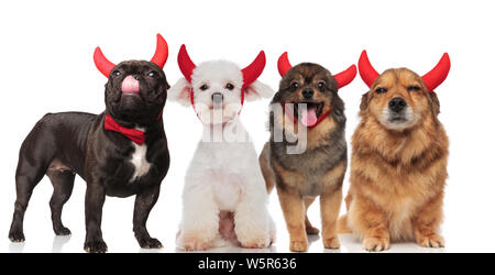 Quatre mignons petits chiens avec cornes de diable rouge debout et assis sur fond blanc, le bouledogue français portant un nœud papillon Banque D'Images