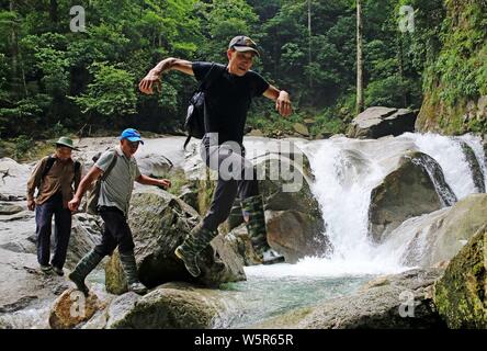 Un apiculteur grimpe une falaise abrupte d'une montagne de recueillir le miel des ruches en bois dans la région de Rongshui Miao comté autonome, Liuzhou city, South China's Guan Banque D'Images