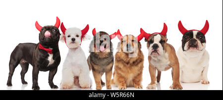 Six chiens mignons de races différentes portant des cornes de diable pour l'halloween en étant debout, assis ou couché sur fond blanc Banque D'Images