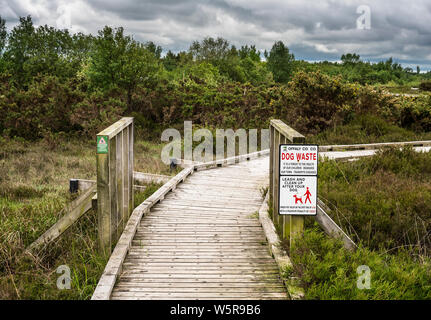 Clara Bog réserve naturelle, County Offaly, l'Irlande, est une tourbière soulevée préservé dans une région où une grande partie de la tourbière d'origine a subi l'extraction de tourbe Banque D'Images