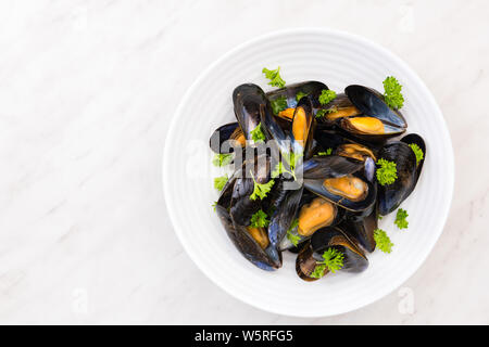 Les moules captures fraîchement servi sur la plaque,restaurant de fruits de mer plat. Banque D'Images