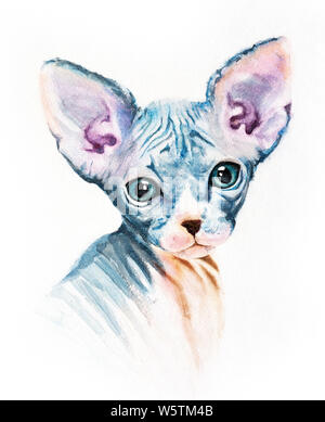 Peinture, dessin réaliste pour l'impression sur un T-shirt portrait à l'aquarelle d'un chat sphinx verticale isolée Banque D'Images