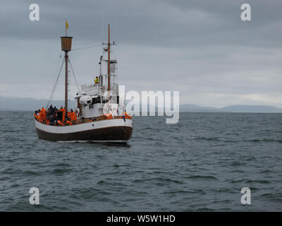 Un ancien baleinier à voile Skjalfandi bay dans le nord de l'Islande près de Husavik à la recherche de baleines. Banque D'Images