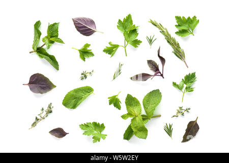 Divers collection d'herbes fraîches isolées sur fond blanc. Herbes naturelles pour la médecine ou la cuisine. Banque D'Images