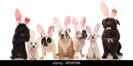 Groupe de chiens mignon portant des oreilles de lapin de Pâques sur fond blanc Banque D'Images