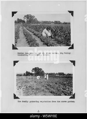 Des photographies, avec des sous-titres, images 4H jardin, Big Valley Rancheria, du rapport annuel de vulgarisateurs...Agence indienne de Sacramento, Sacramento, en Californie, du 1 janvier 1937 au 31 décembre 1937. Banque D'Images