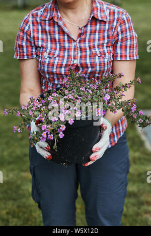 Femme tenant un pot de fleurs avec des fleurs qui travaillent dans le jardin. Les gens sincères, vrais moments, situations authentiques Banque D'Images