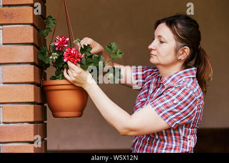 Femme organiser les fleurs dans un pot de fleur suspendu à un patio. Les gens sincères, vrais moments, situations authentiques Banque D'Images