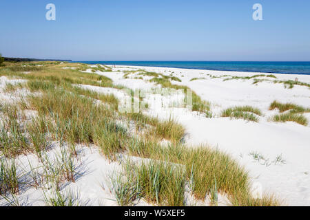 Plage de sable blanc de l'île de Dueodde, la côte sud de l'île de Bornholm, Dueodde, mer Baltique, Danemark, Europe Banque D'Images