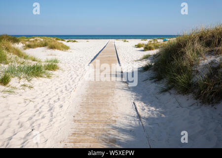 Plage de sable blanc de l'île de Dueodde, la côte sud de l'île de Bornholm, Dueodde, mer Baltique, Danemark, Europe Banque D'Images