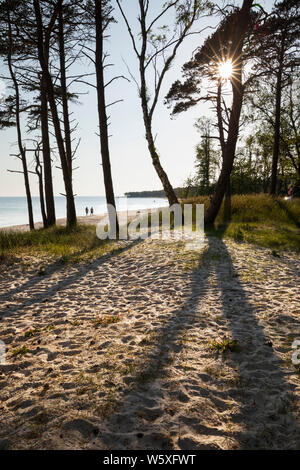 Plage de sable blanc de l'île de Dueodde, la côte sud de l'île de Bornholm, Dueodde, mer Baltique, Danemark, Europe Banque D'Images