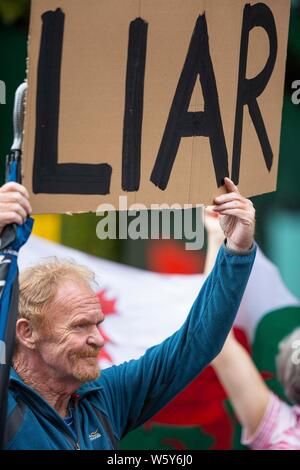 Cardiff, Wales, UK, 30 juillet 2019. Manifestants devant l'Assemblée nationale du Pays de Galles Senedd en avant de la construction nouveau Premier ministre britannique Boris Johnson's rencontre avec Première Ministre du Pays de Galles Mark Drakeford. Credit : Mark Hawkins/Alamy Live News Banque D'Images