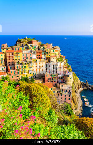 Manarola village de beaux paysages de montagnes et de mer - sentiers de randonnée spectaculaire de la vigne avec des fleurs dans le Parc National des Cinque Terre, Liguri Banque D'Images