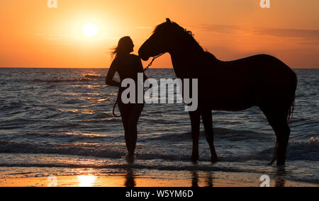 / Cavalière cheval femelle cavalier en laissant l'eau à cheval sur la plage au coucher du soleil le long de la côte de la mer du Nord Banque D'Images