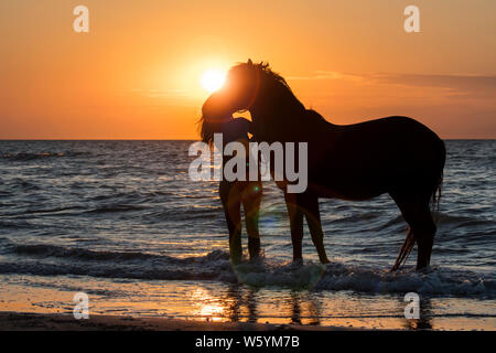 / Cavalière cheval femelle cavalier en laissant l'eau à cheval sur la plage au coucher du soleil le long de la côte de la mer du Nord Banque D'Images