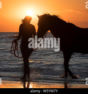 / Cavalière cheval femelle cavalier en laissant l'eau à cheval sur la plage au coucher du soleil le long de la côte de la mer du Nord Banque D'Images