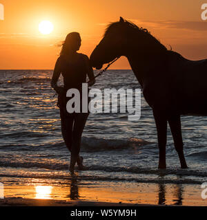 / Cavalière cheval femelle cavalier en laissant l'eau à cheval sur la plage au coucher du soleil le long de la côte de la mer du Nord Banque D'Images