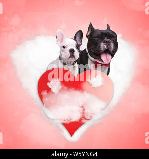 Couple de chiots bouledogues français étant dans l'amour sur un nuage en forme de coeur avec cœur rouge en face d'eux Banque D'Images