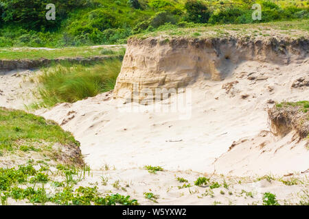 Paysage de dunes et la nature sauvage pendant le coucher du soleil dans le parc national sur la côte néerlandaise Meijendel Banque D'Images