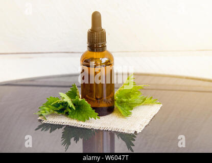 Huile essentielle d'ortie ou l'infusion en bouteille pipette médicale brun avec des branches d'orties conseil en arrière-plan. Banque D'Images